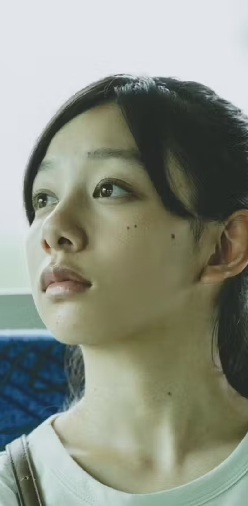 長澤樹